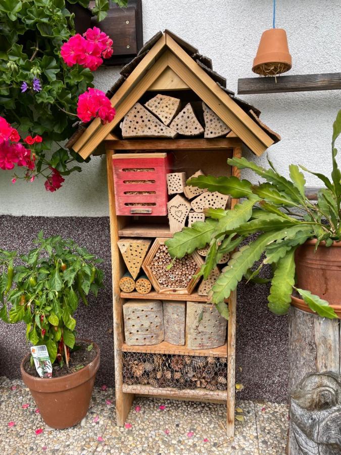 Ferienwohnung Sonnschein باد ميترندورف المظهر الخارجي الصورة
