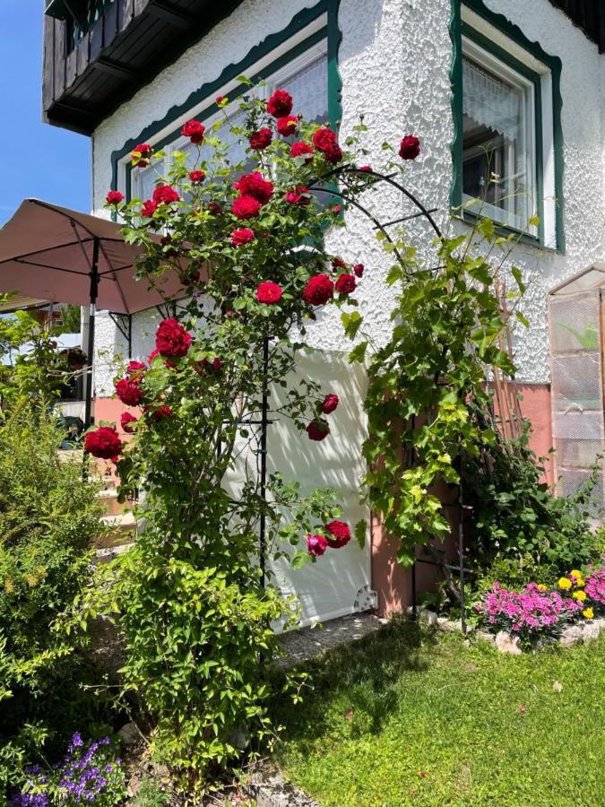 Ferienwohnung Sonnschein باد ميترندورف المظهر الخارجي الصورة