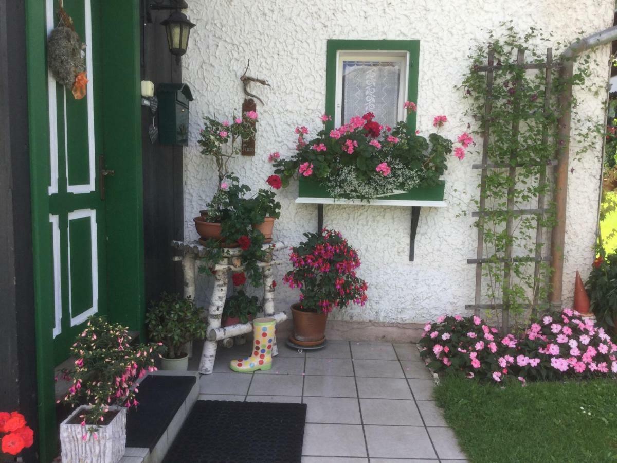 Ferienwohnung Sonnschein باد ميترندورف المظهر الخارجي الصورة